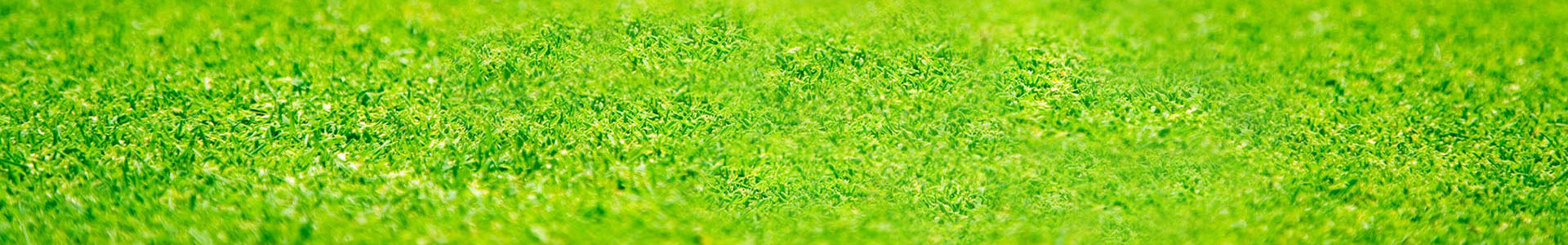 土壤檢測/監測儀器