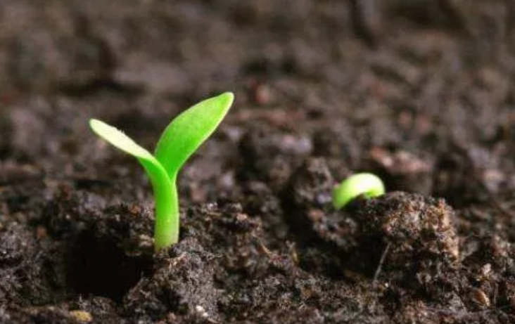 土壤墑情環(huán)境監(jiān)測(cè)/檢測(cè)的過程是什么樣的