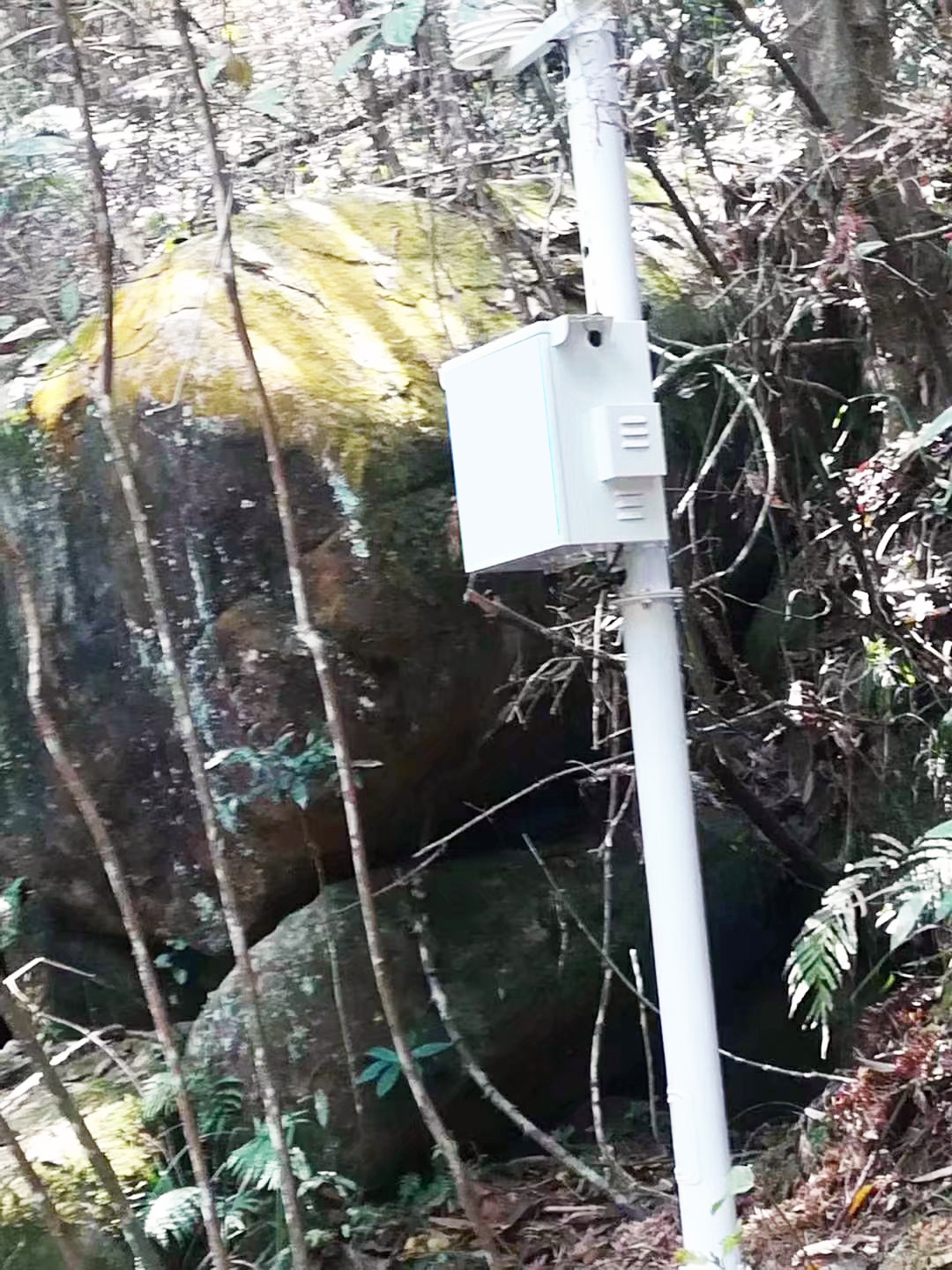 景區環境監測站負氧離子遠程監測系統設備 景區環境監測站負氧離子遠程監測系統設備