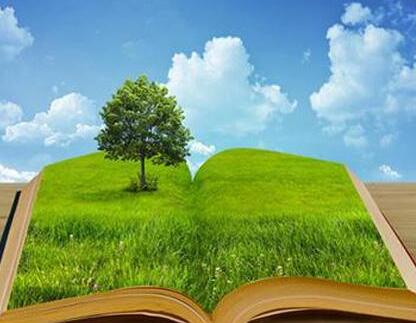 如何建立完善的環(huán)境監(jiān)測體系，我們應該做什么？