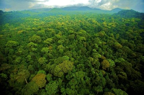 守護“地球之腎”:濕地公園生態保護的系統實踐與價值重構 守護“地球之腎”:濕地公園生態保護的系統實踐與價值重構